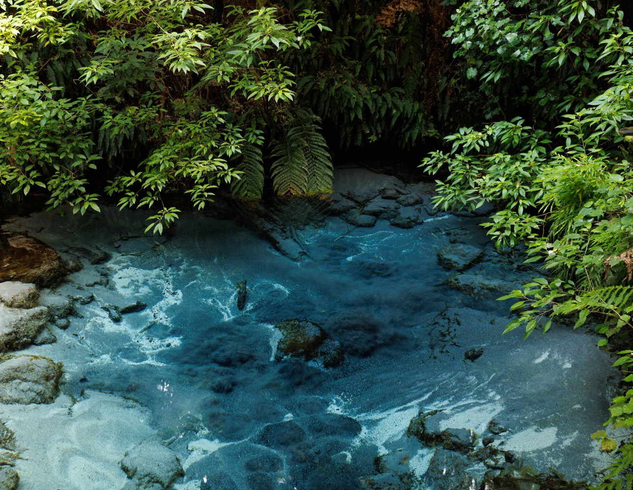 a close up of a pond